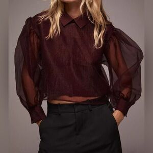 Zara Sheer Burgundy Blouse